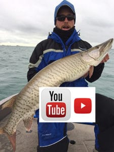 Muskie Video