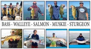 Lake St. Clair Fishing Bass Walleye Salmon Muskie Sturgeon