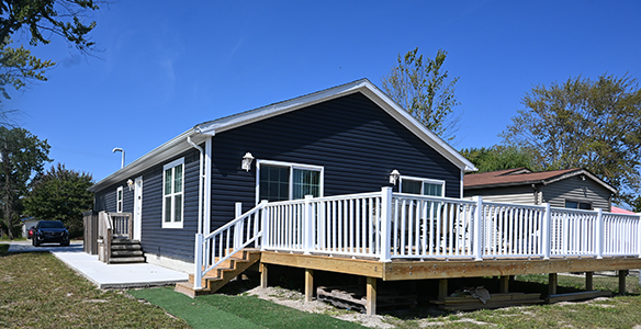 bealane beauty fish oasis